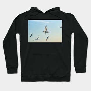 Larus californicus 2 Hoodie